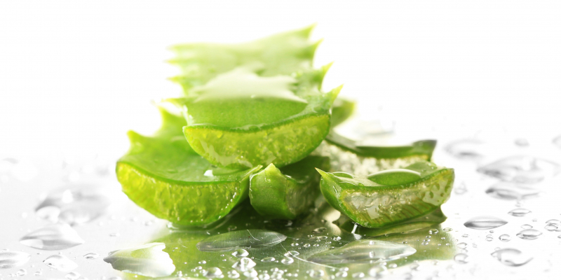 diététique – digestion – aloé vera – cosmétique – peau diététique - digestion - aloé vera - cosmétique - peau